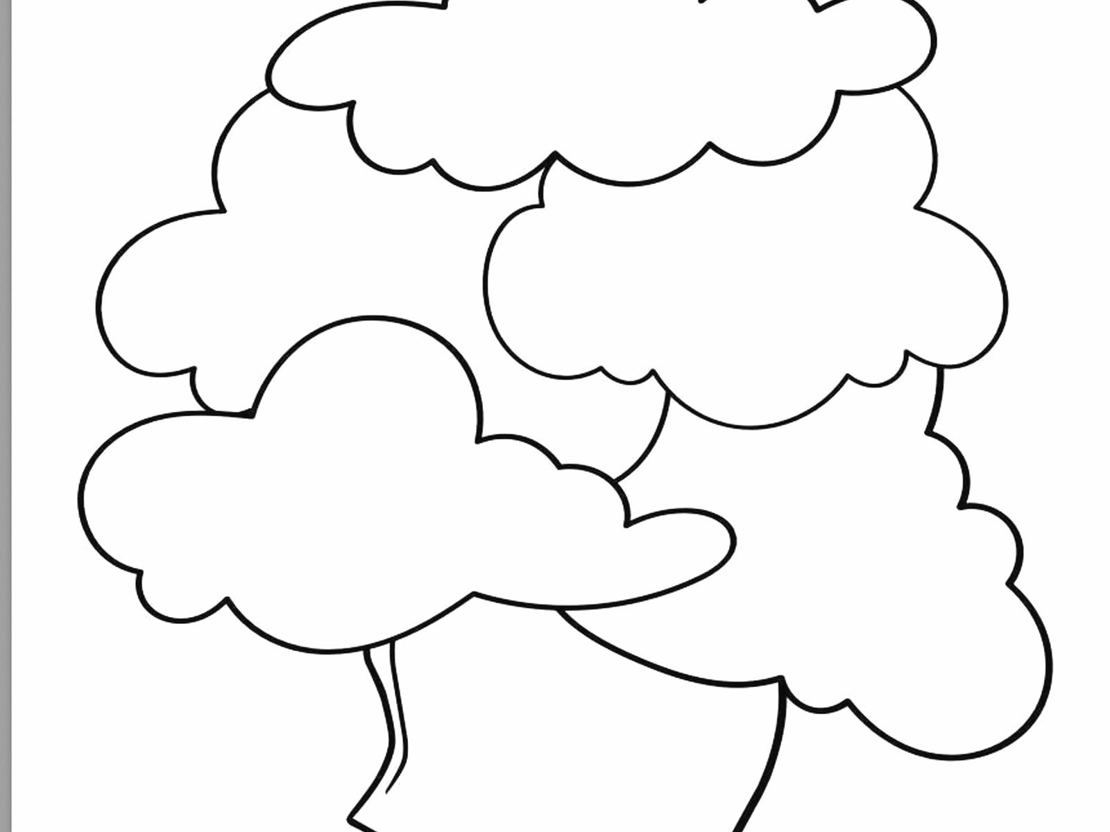 Therapy Sheet – Everything You Need to Know